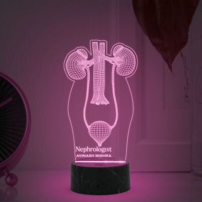3D Illusion Kidney Led Lamp Nephrologist Kidney Light Multicolored Night Light with Remote Control